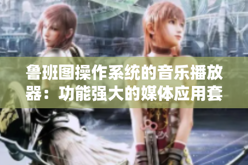 鲁班图操作系统的音乐播放器：功能强大的媒体应用套件