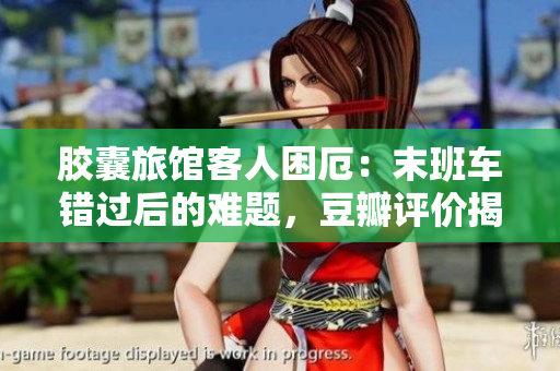 胶囊旅馆客人困厄：末班车错过后的难题，豆瓣评价揭秘