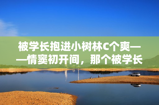 被学长抱进小树林C个爽——情窦初开间，那个被学长抱进小树林的C个瞬间