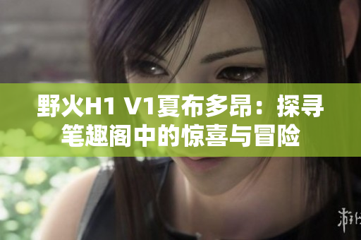 野火H1 V1夏布多昂：探寻笔趣阁中的惊喜与冒险