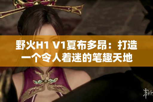 野火H1 V1夏布多昂：打造一个令人着迷的笔趣天地