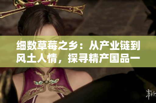 细数草莓之乡：从产业链到风土人情，探寻精产国品一二三产区的丰富魅力