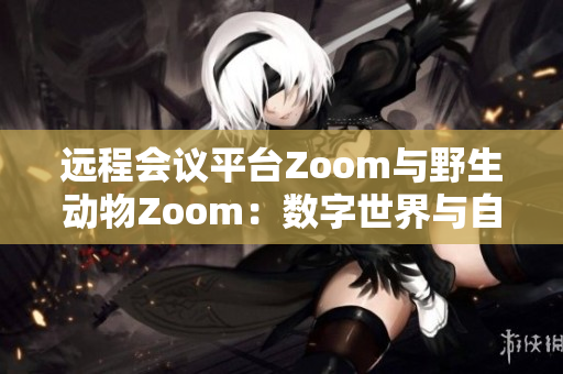 远程会议平台Zoom与野生动物Zoom：数字世界与自然界的奇妙交汇