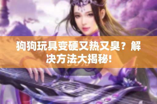 狗狗玩具变硬又热又臭？解决方法大揭秘!