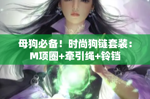 母狗必备！时尚狗链套装：M项圈+牵引绳+铃铛