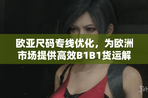 欧亚尺码专线优化，为欧洲市场提供高效B1B1货运解决方案