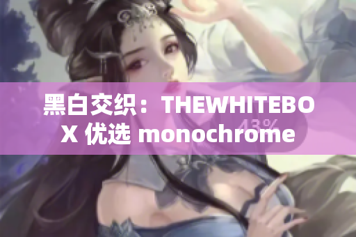 黑白交织：THEWHITEBOX 优选 monochrome