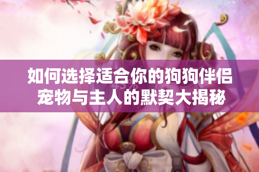 如何选择适合你的狗狗伴侣 宠物与主人的默契大揭秘