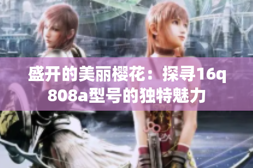 盛开的美丽樱花：探寻16q808a型号的独特魅力