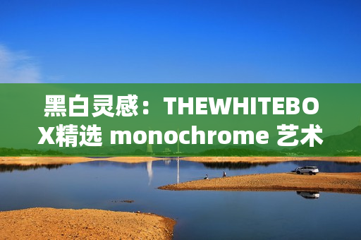 黑白灵感：THEWHITEBOX精选 monochrome 艺术