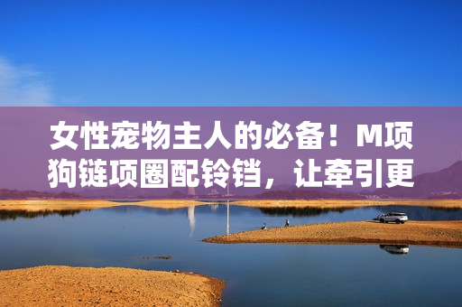 女性宠物主人的必备！M项狗链项圈配铃铛，让牵引更轻松