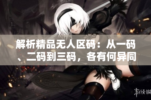 解析精品无人区码：从一码、二码到三码，各有何异同？