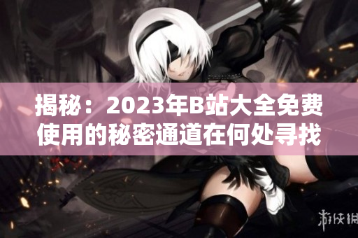揭秘：2023年B站大全免费使用的秘密通道在何处寻找？