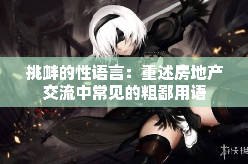 挑衅的性语言：重述房地产交流中常见的粗鄙用语
