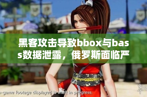 黑客攻击导致bbox与bass数据泄露，俄罗斯面临严重网络安全挑战