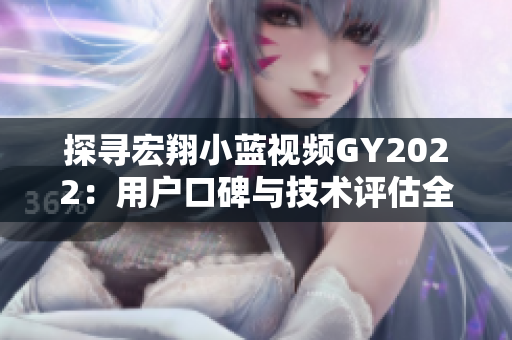 探寻宏翔小蓝视频GY2022：用户口碑与技术评估全面解析