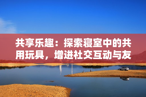 共享乐趣：探索寝室中的共用玩具，增进社交互动与友谊