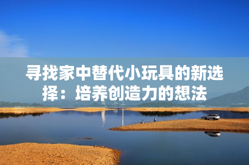 寻找家中替代小玩具的新选择：培养创造力的想法