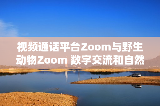 视频通话平台Zoom与野生动物Zoom 数字交流和自然奇观的奇妙对话