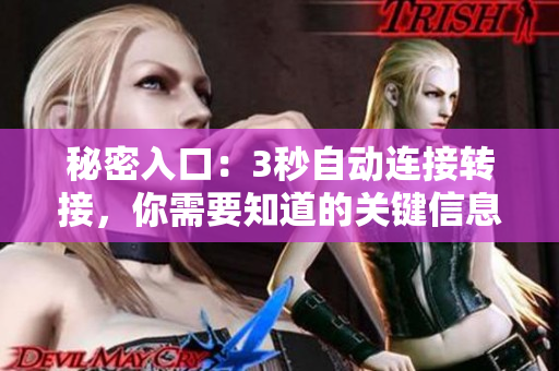 秘密入口：3秒自动连接转接，你需要知道的关键信息