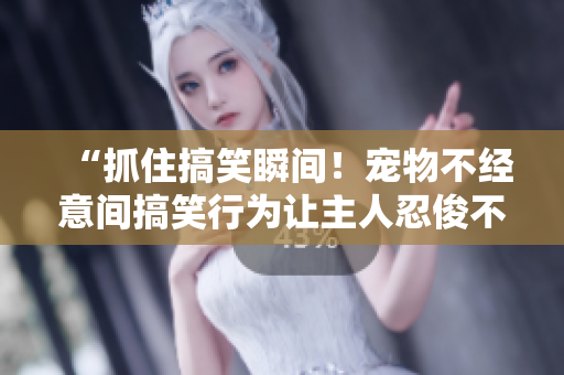 “抓住搞笑瞬间！宠物不经意间搞笑行为让主人忍俊不禁！”