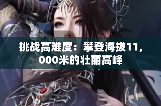 挑战高难度：攀登海拔11,000米的壮丽高峰