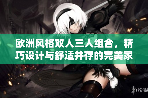 欧洲风格双人三人组合，精巧设计与舒适并存的完美家具选择