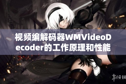 视频编解码器WMVideoDecoder的工作原理和性能分析