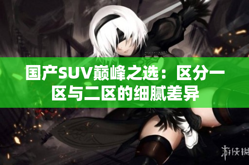 国产SUV巅峰之选：区分一区与二区的细腻差异