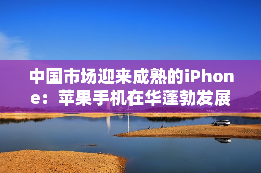 中国市场迎来成熟的iPhone：苹果手机在华蓬勃发展的背后
