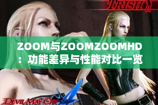ZOOM与ZOOMZOOMHD：功能差异与性能对比一览