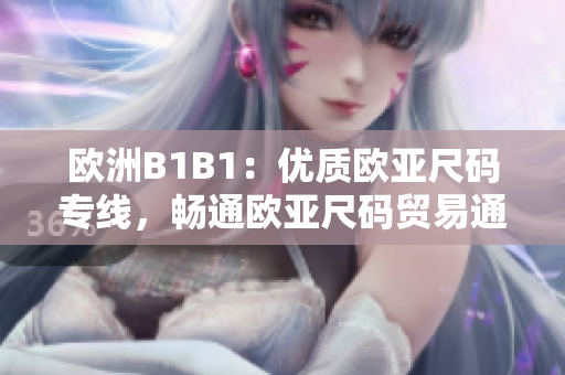 欧洲B1B1：优质欧亚尺码专线，畅通欧亚尺码贸易通道