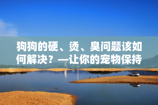 狗狗的硬、烫、臭问题该如何解决？—让你的宠物保持舒适与健康