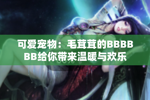 可爱宠物：毛茸茸的BBBBBB给你带来温暖与欢乐