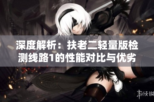 深度解析：扶老二轻量版检测线路1的性能对比与优劣势分析