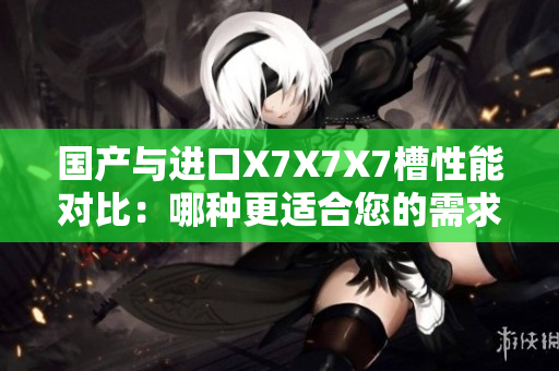国产与进口X7X7X7槽性能对比：哪种更适合您的需求？