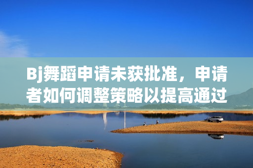 Bj舞蹈申请未获批准，申请者如何调整策略以提高通过率？