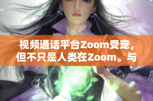 视频通话平台Zoom受宠，但不只是人类在Zoom。与会的宠物如何？