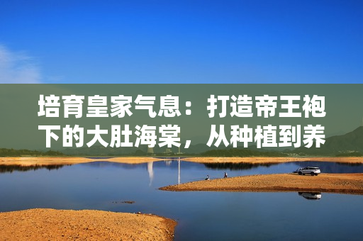 培育皇家气息：打造帝王袍下的大肚海棠，从种植到养护一揽皆全