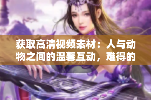 获取高清视频素材：人与动物之间的温馨互动，难得的瞬间展现