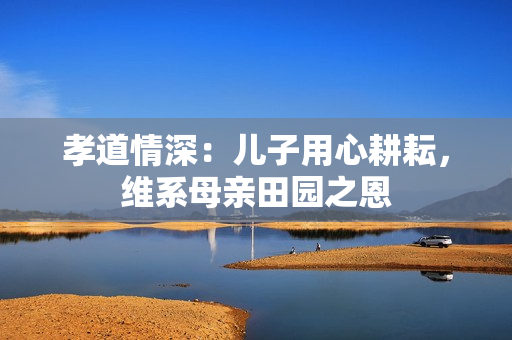 孝道情深：儿子用心耕耘，维系母亲田园之恩