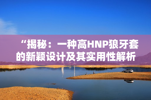 “揭秘：一种高HNP狼牙套的新颖设计及其实用性解析”