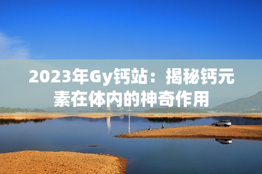 2023年Gy钙站：揭秘钙元素在体内的神奇作用