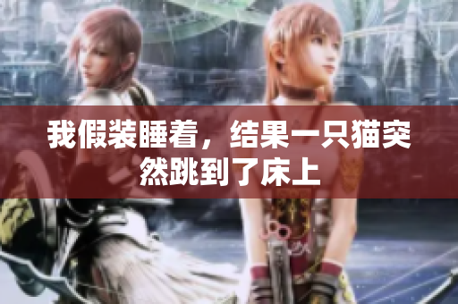 我假装睡着，结果一只猫突然跳到了床上