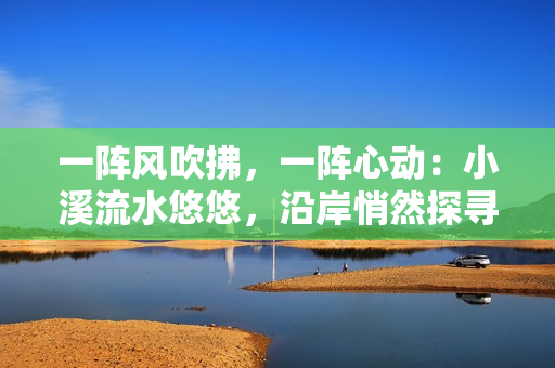 一阵风吹拂，一阵心动：小溪流水悠悠，沿岸悄然探寻