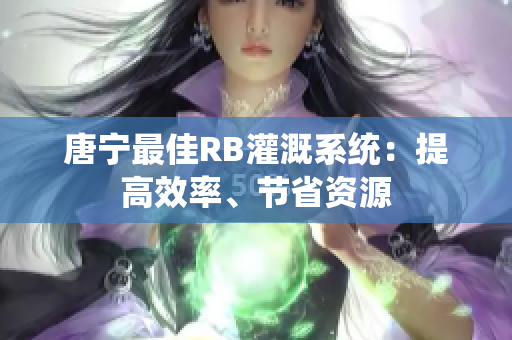 唐宁最佳RB灌溉系统：提高效率、节省资源