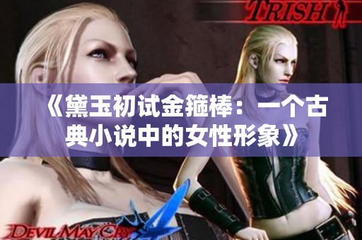 《黛玉初试金箍棒：一个古典小说中的女性形象》