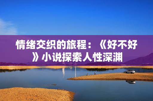 情绪交织的旅程：《好不好》小说探索人性深渊