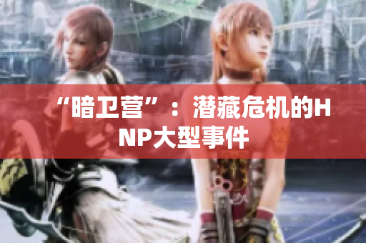 “暗卫营”：潜藏危机的HNP大型事件