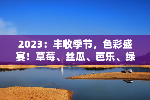 2023：丰收季节，色彩盛宴！草莓、丝瓜、芭乐、绿巨人、樱桃、秋葵，绽放粉色魅力